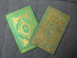 Twee boeken met een groene cover