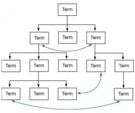 Schematische weergave verwante terminologieën