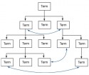 Schematische weergave verwante terminologieën
