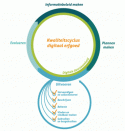 Diagram met kwaliteitscyclus digitaal erfgoed