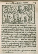 Pagina met houtsnede van een jager die een beer schiet