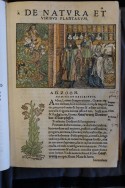 Adam LONICER, Naturalis historiae opus novum, Frankfurt 1551.